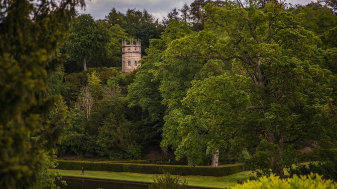 A tall stone tower rising above dense woodland, viewed across a pond and clipped hedge in Studley Royal Water Garden.