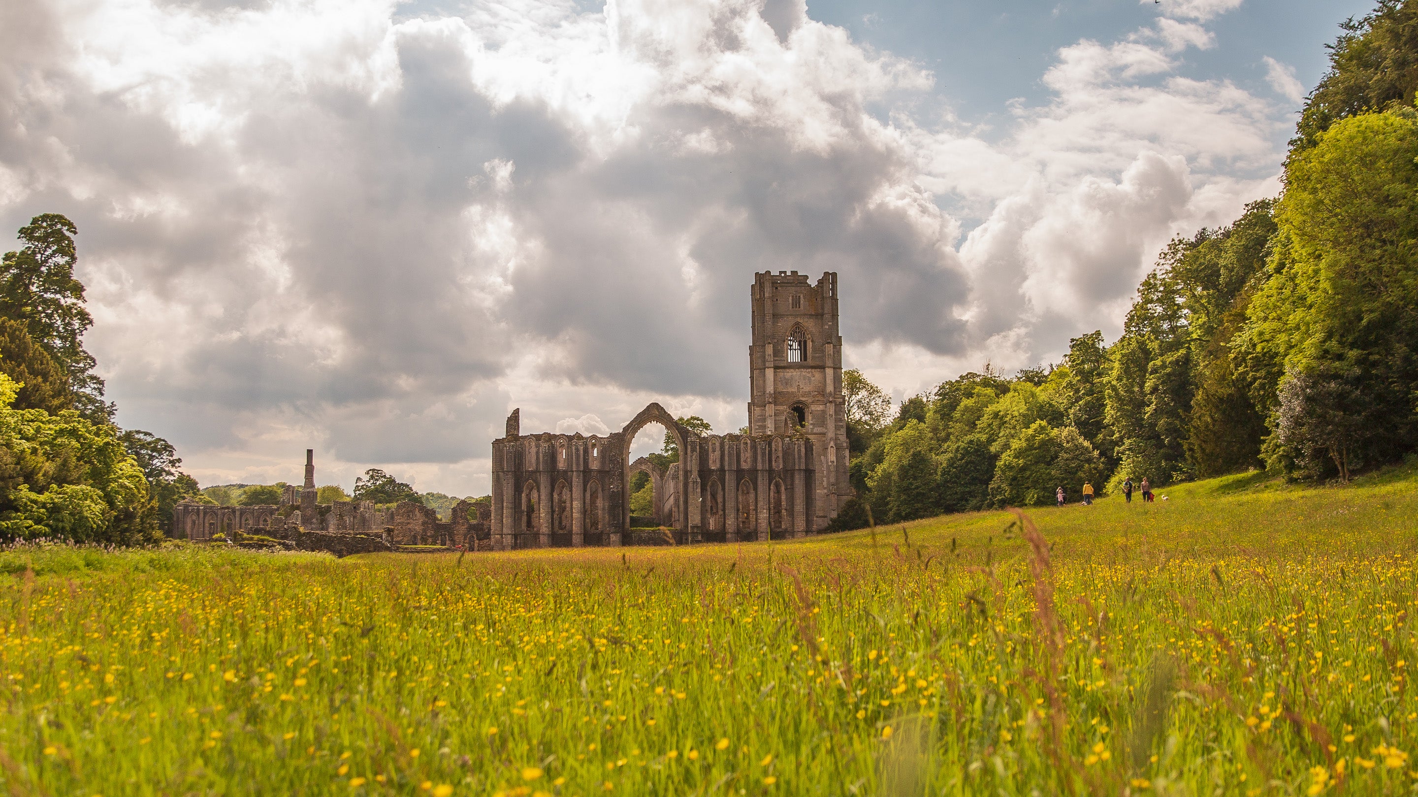 Looking across East Green towards the abbey through the long grass, wildflowers and buttercups