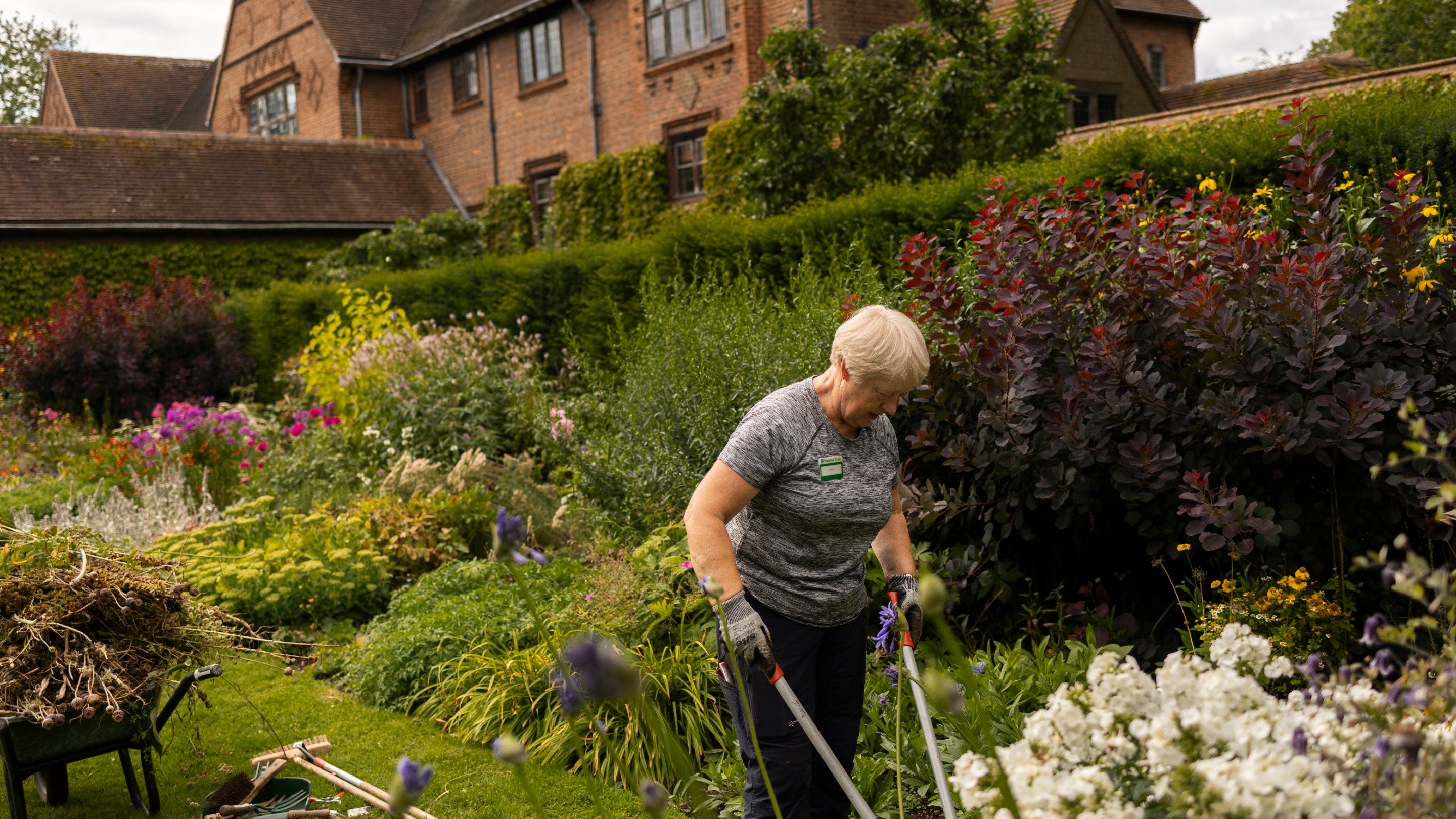 Woman with tools and wheelbarrow gardening in among a flower border with a large house behind