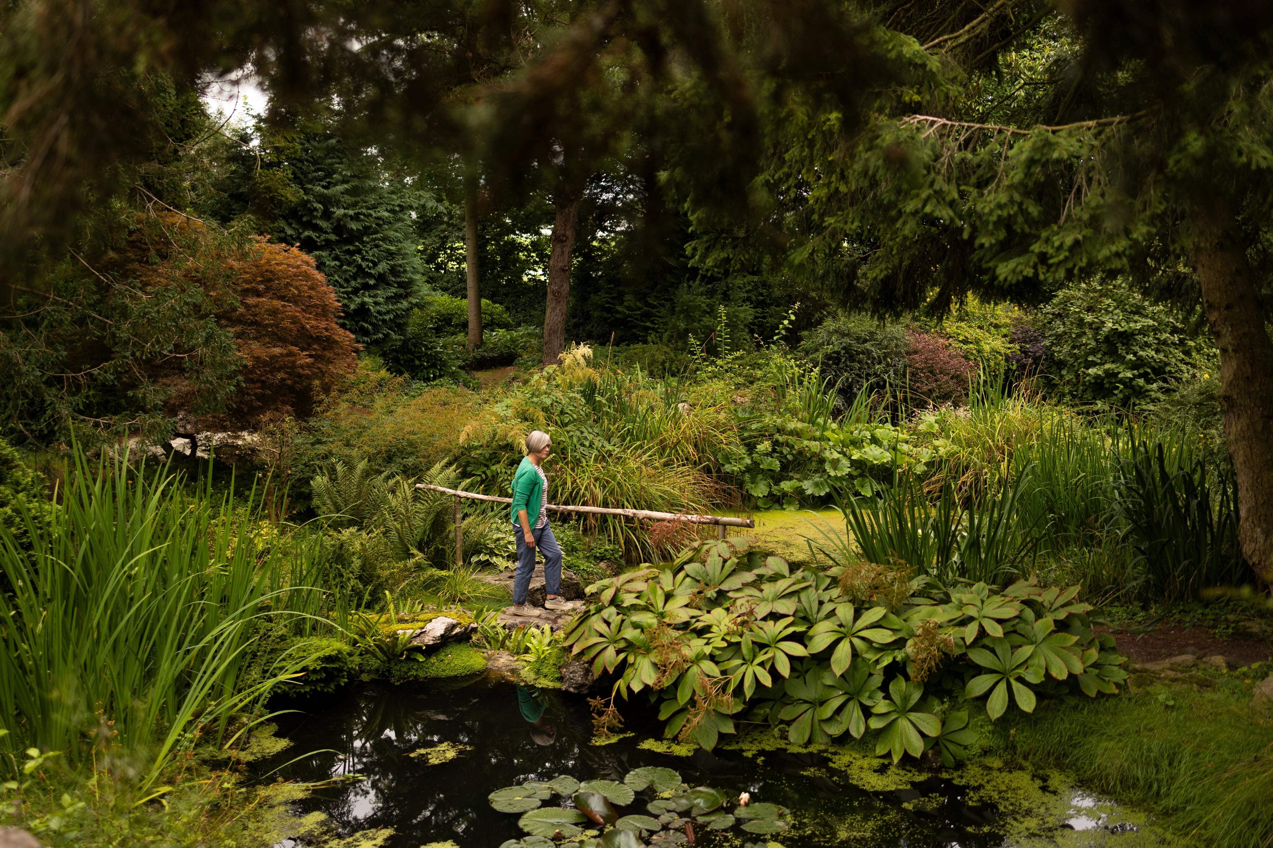 Visitors discovering the garden at Goddards, North Yorkshire