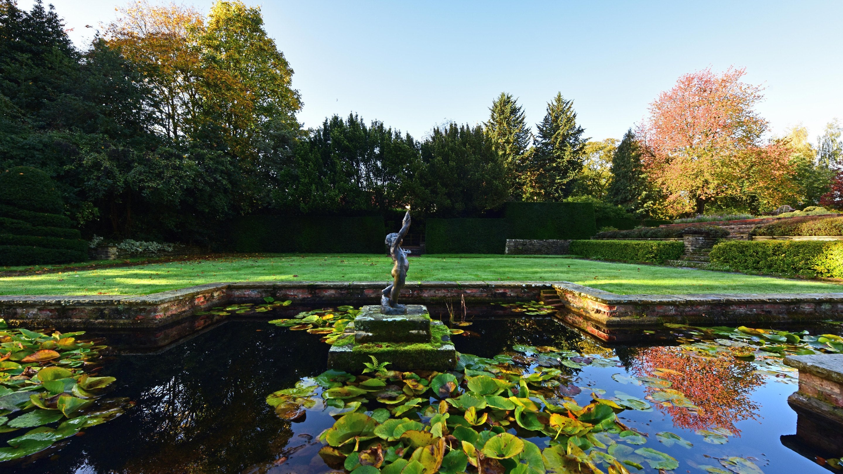 Pond with lilies in the foreground and trees of different shades beyond