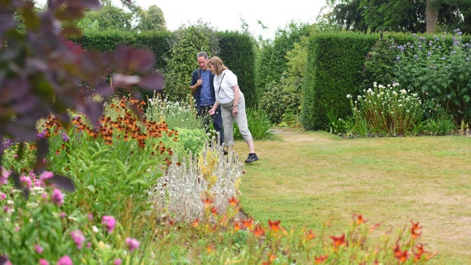A couple looking at flowers in a long border with hedges beyond