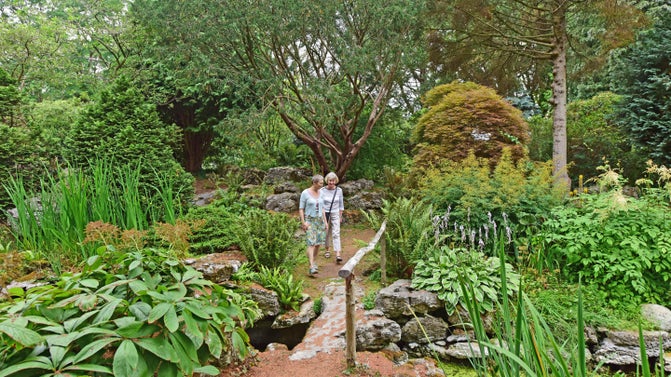 Two women walking over a rustic bridge over a wildlife pond surrounded by trees and shrubs