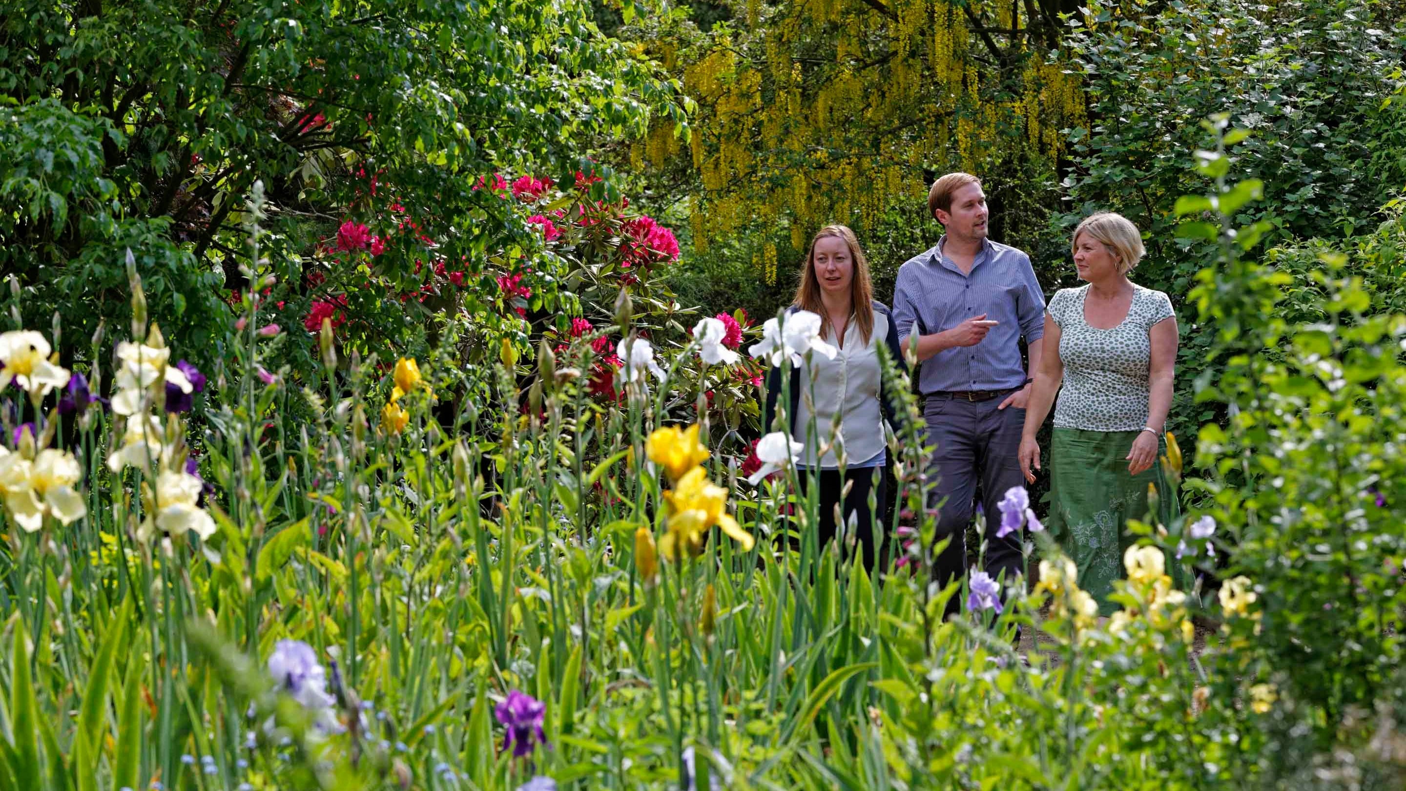 Three adults walking through the garden together at Goddards, North Yorkshire; they are completely surrounded by trees, and colourful flowering plants
