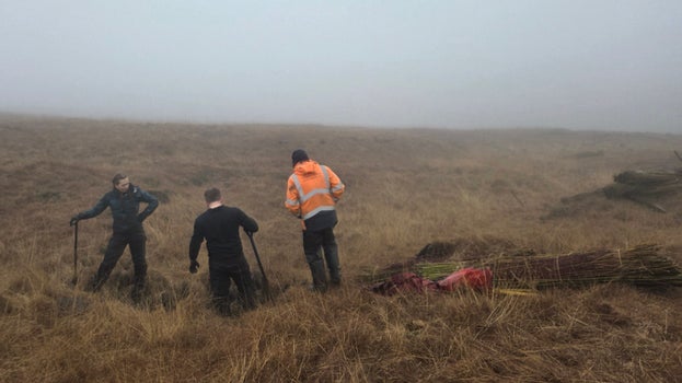 Two people stand next to a bundle of willow twigs, ready to install it on the moor using hammers and stakes