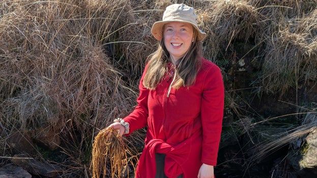 A National Trust Ranger wearing a red jumper and a sun hat stands in a stream and holds a handful of dead grass