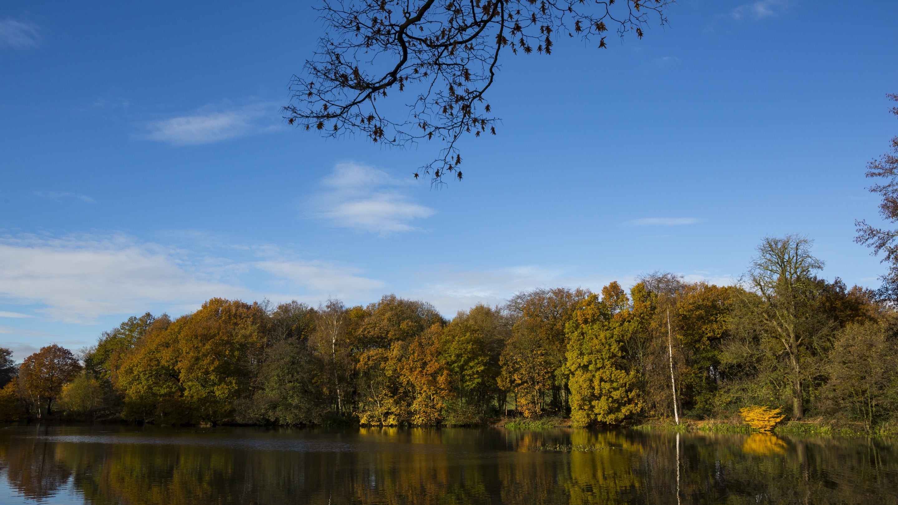 The lake and parkland in autumn at Nostell Priory, West Yorkshire