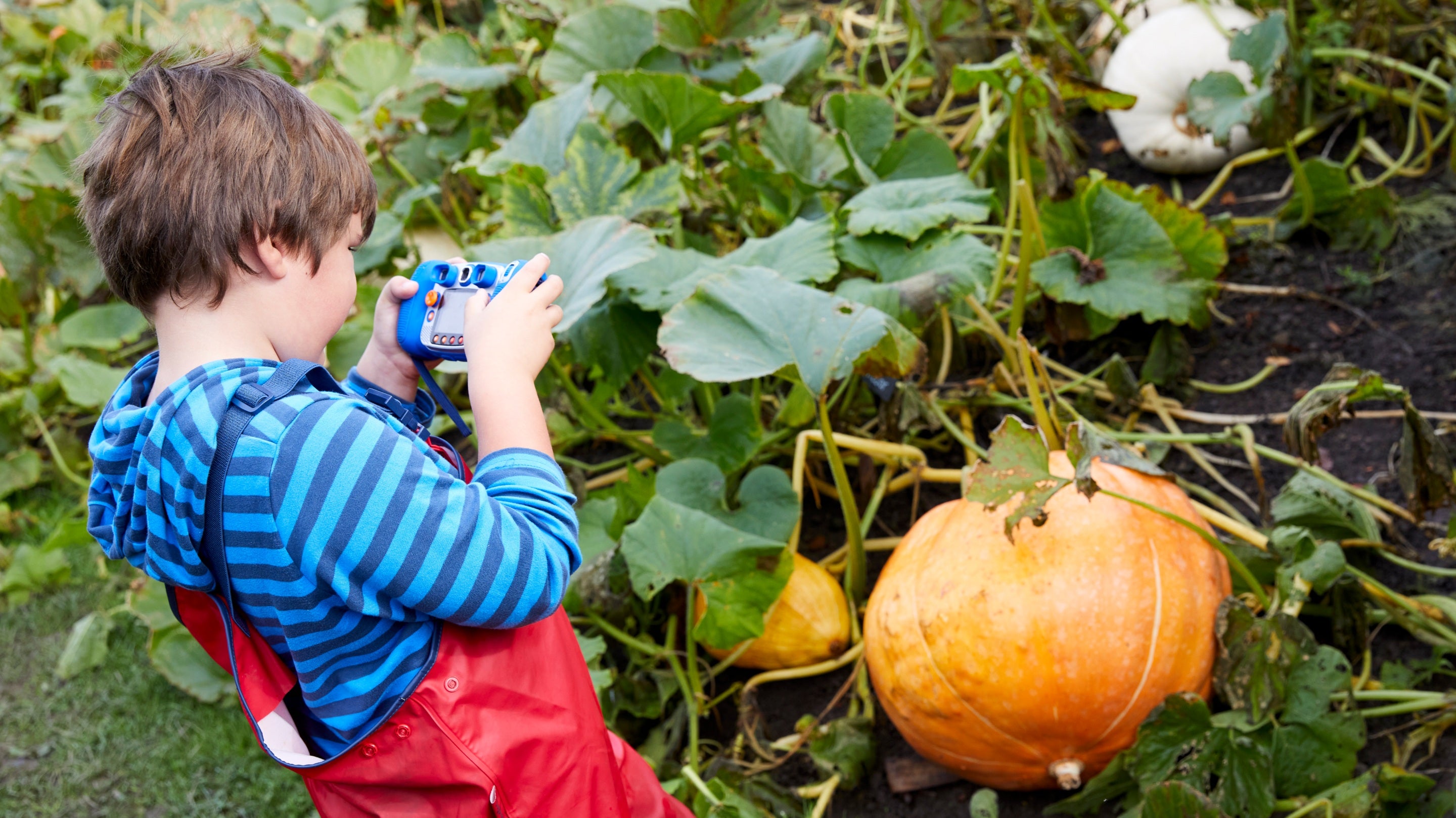 Packwood House | Warwickshire | National Trust