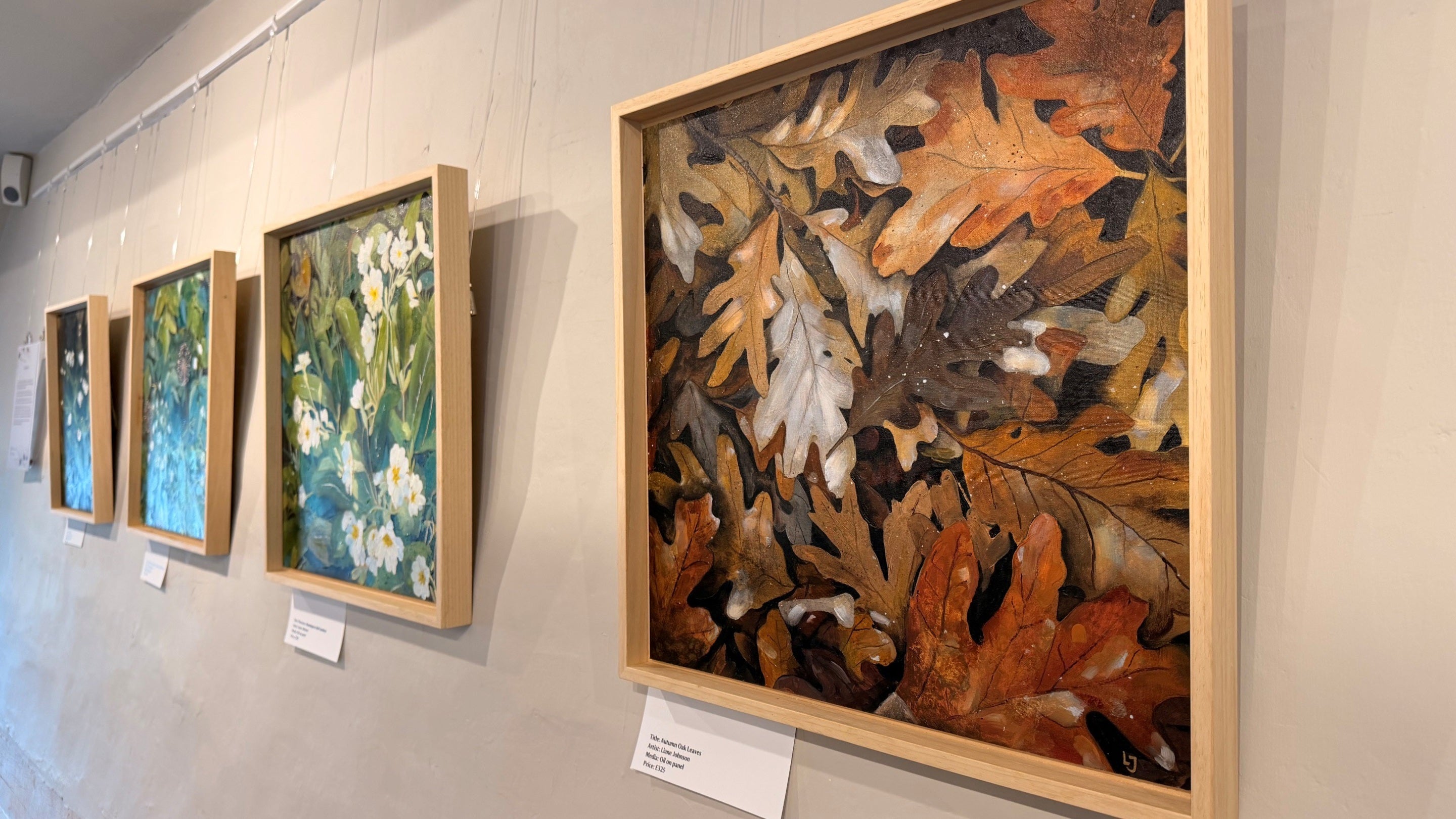 Artworks hang on a white wall featuring close ups of natural scenes