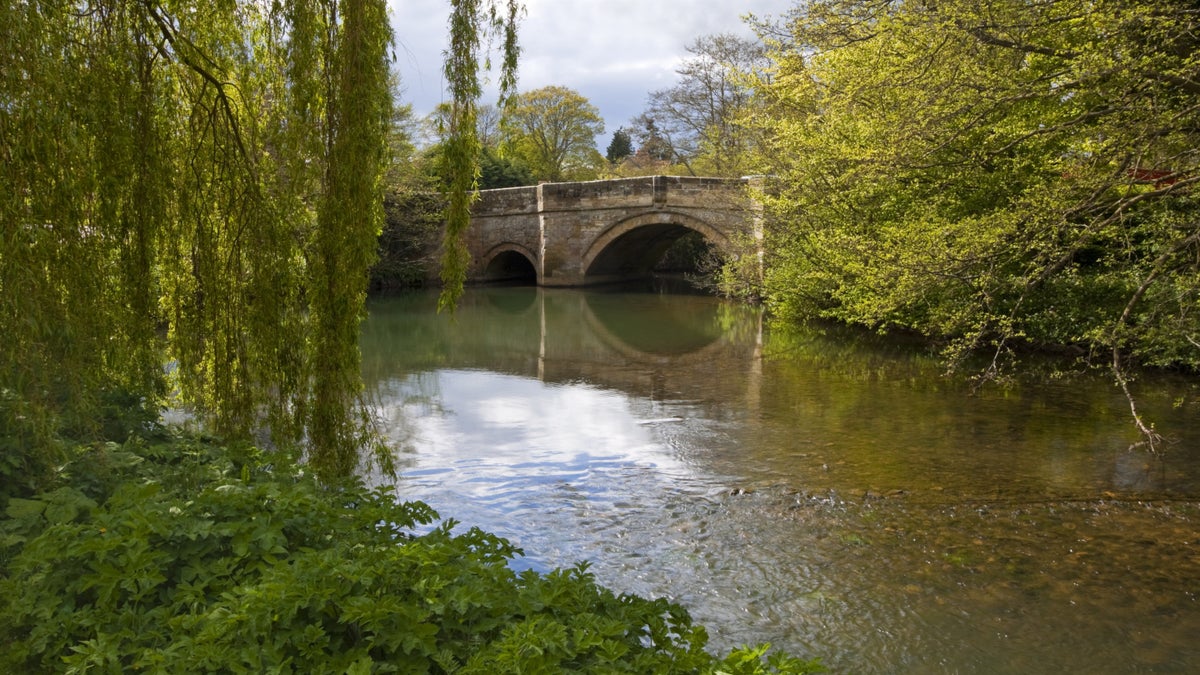 The Ryevitalise project on the River Rye National Trust