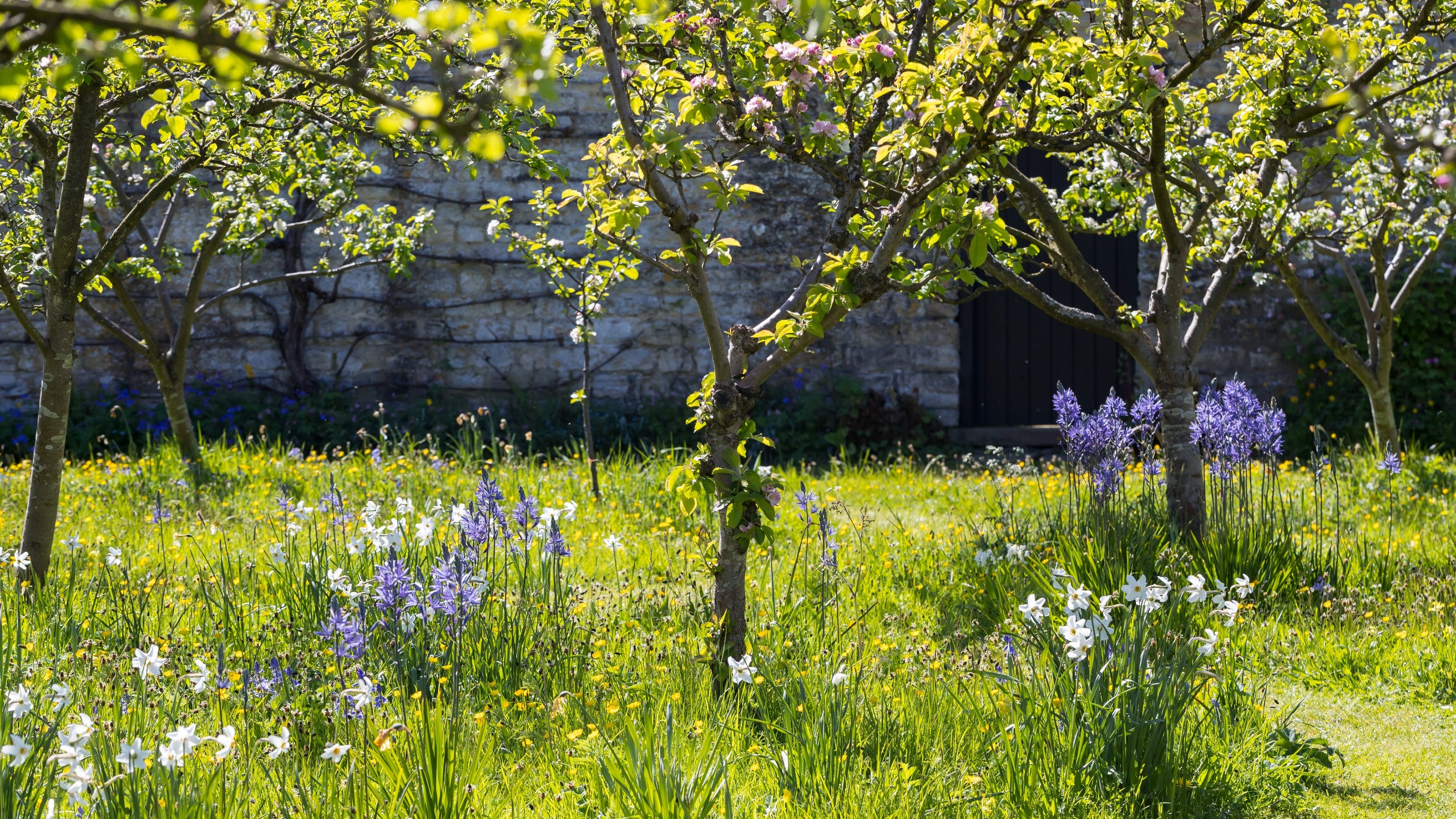 Nunnington Hall | North Yorkshire | National Trust