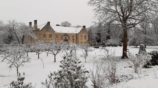 A landscape shot of a snow covered garden with trees and shrubs and a house in the distance