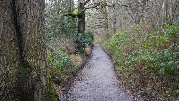 Newly surfaced path running through woodland at Roseberry Topping