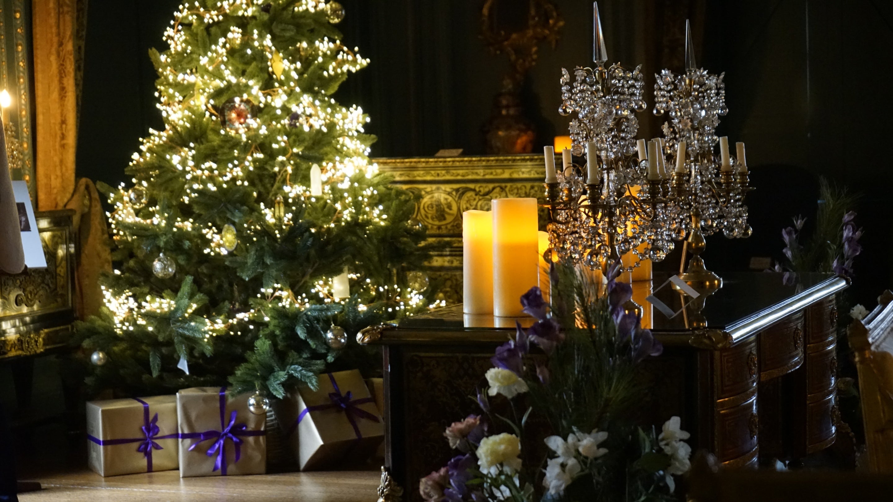 Glowing Christmas trees in the Blue Drawing Room at Treasurer's House, York