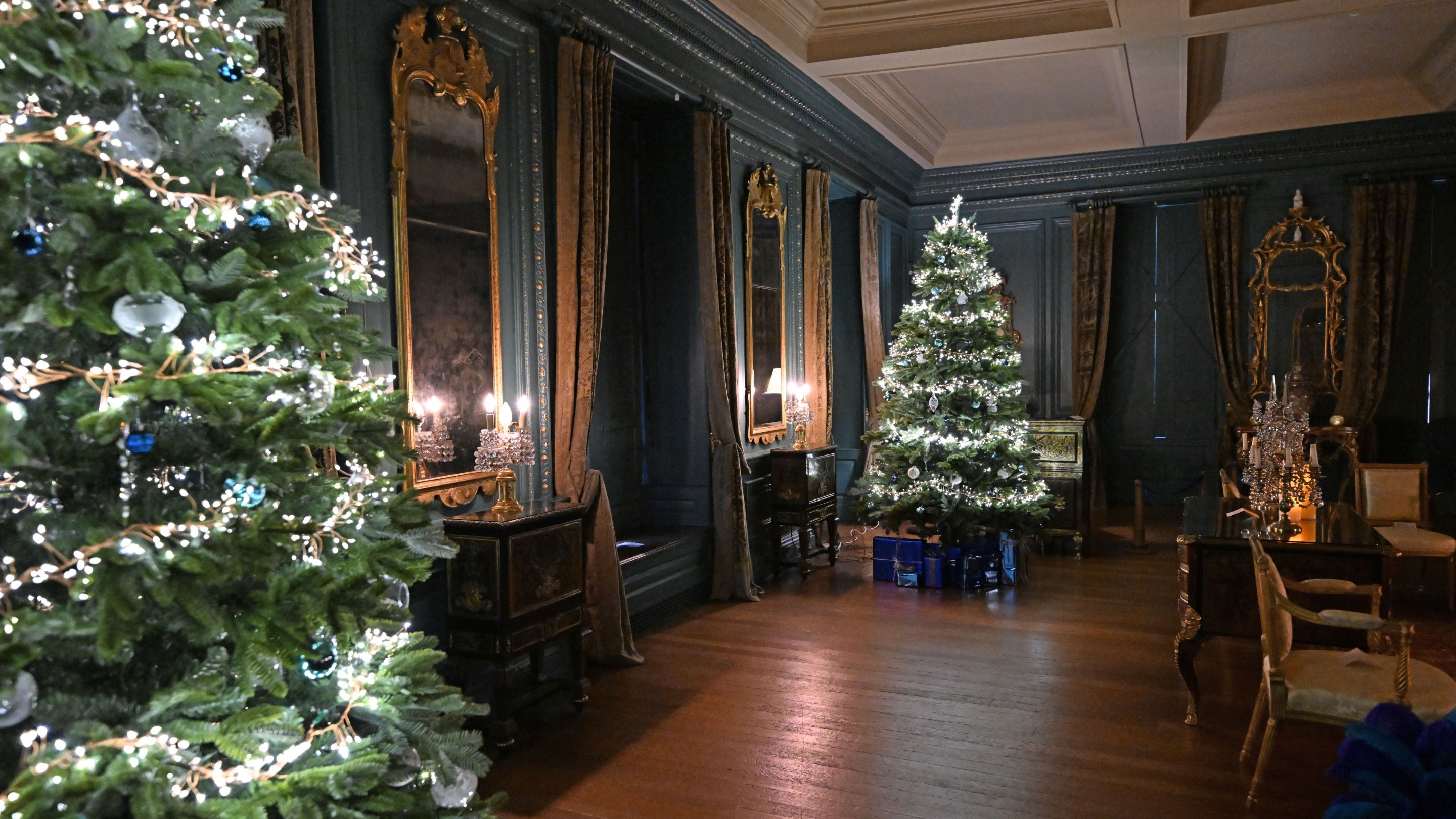 Two lit Christmas trees in an opulent gold and blue drawing room