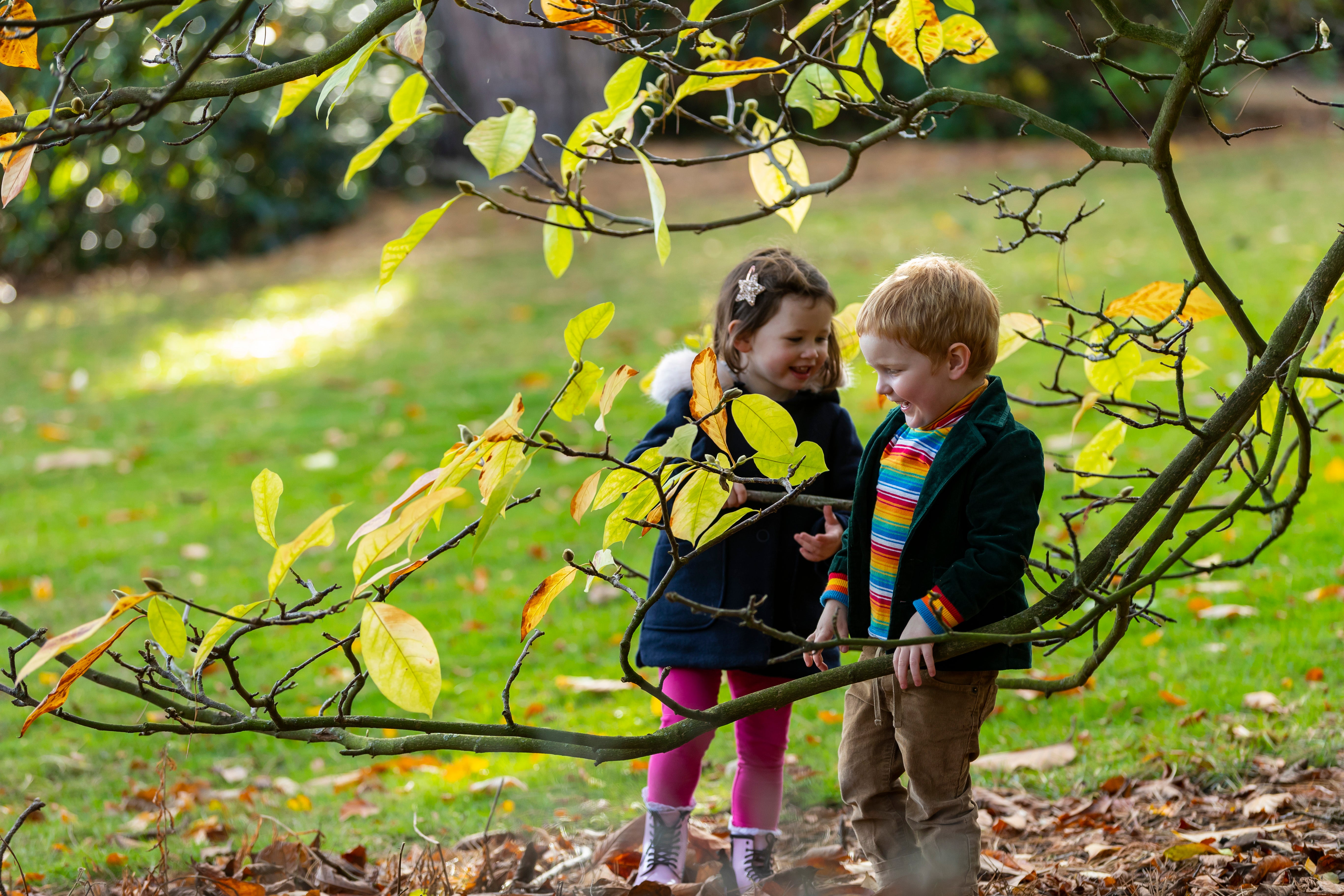Young visitors enjoying Autumn