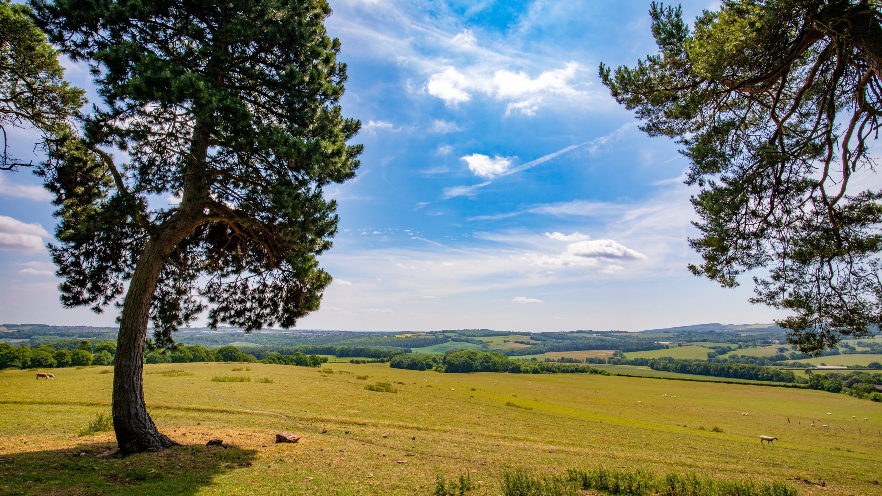 A view over the parkland from a vantage point in the gardens