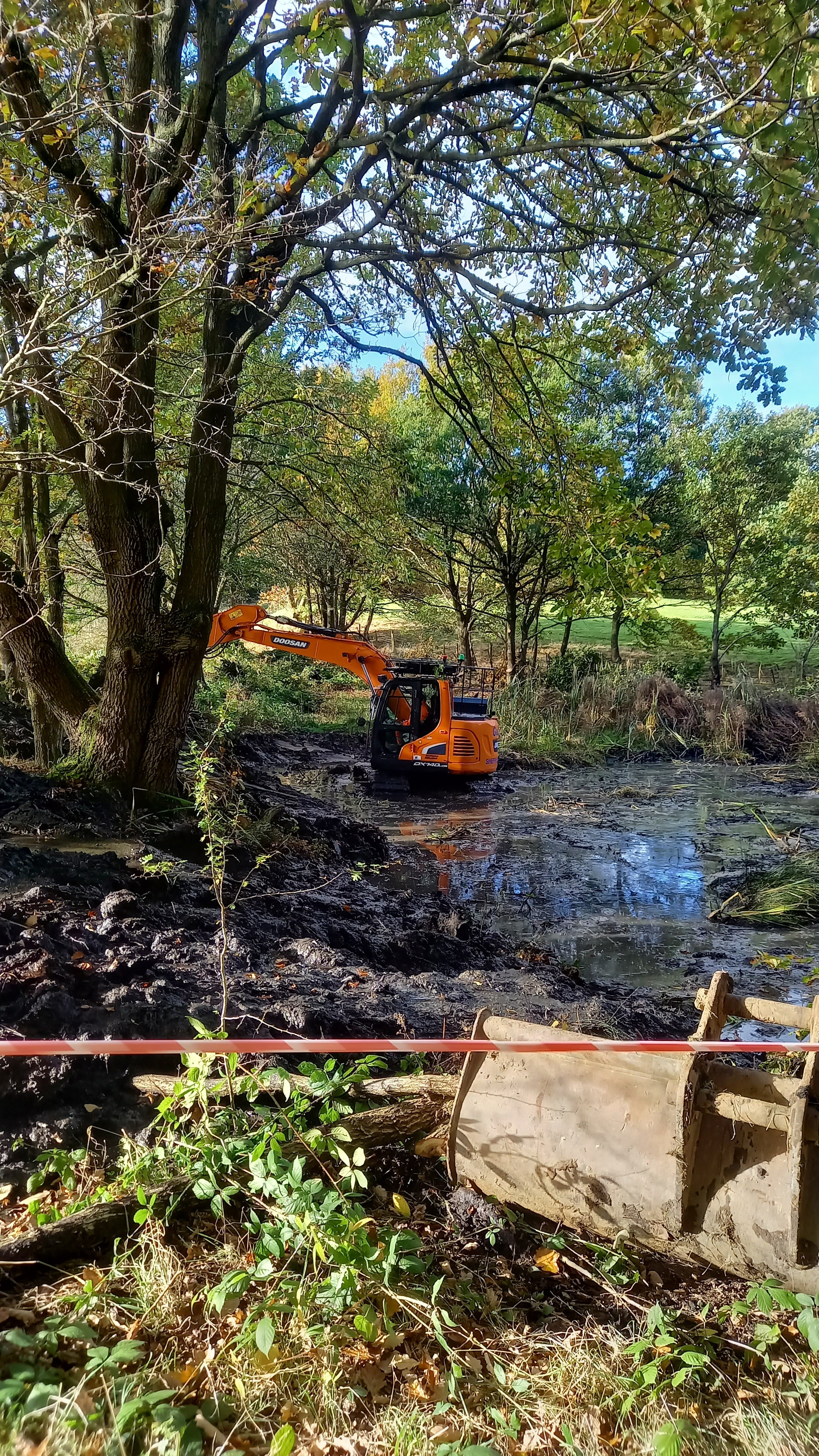 Restoration of Lady Lucy's pond at Wentworth Castle Gardens