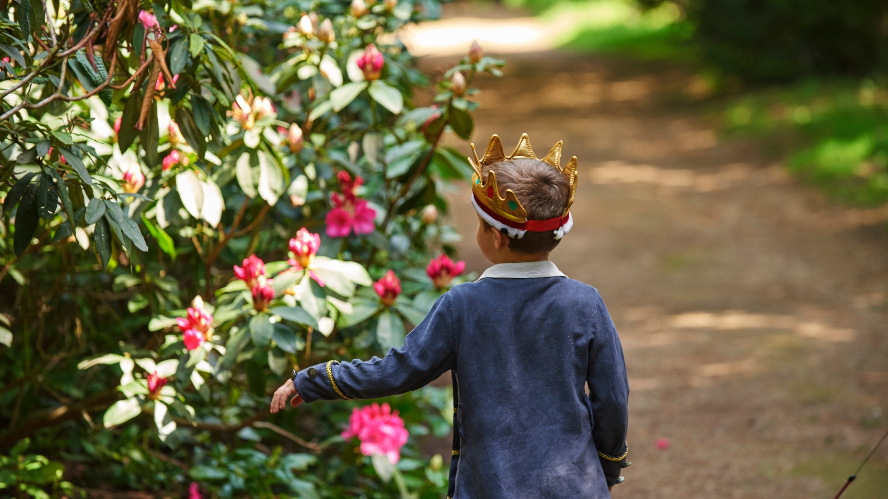 Boy wearing a crown in the garden