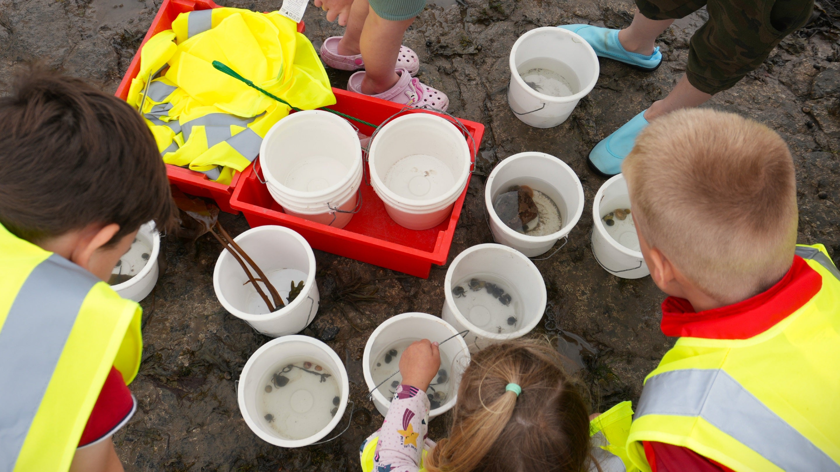 Group of young children rockpooling at Robin Hood's Bay