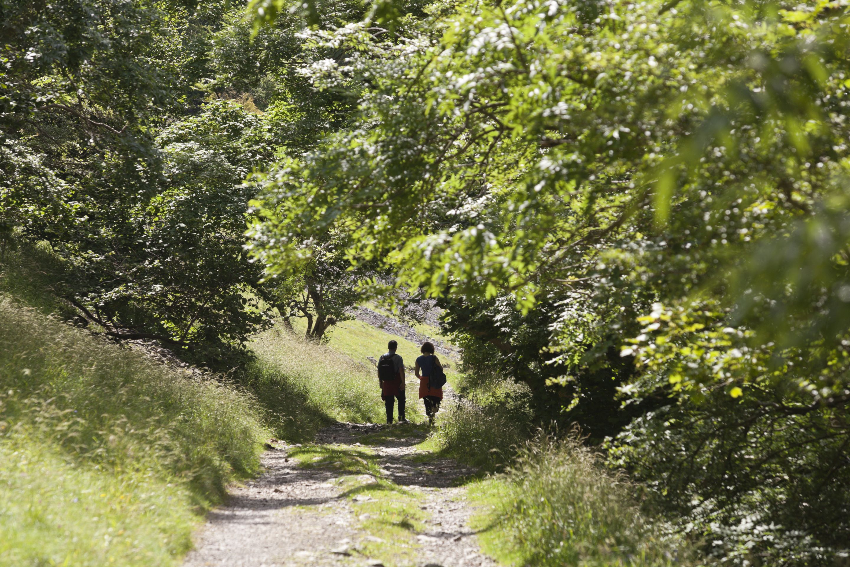 Walkers on path at Buckden, Upper Wharfedale, Yorkshire Dales