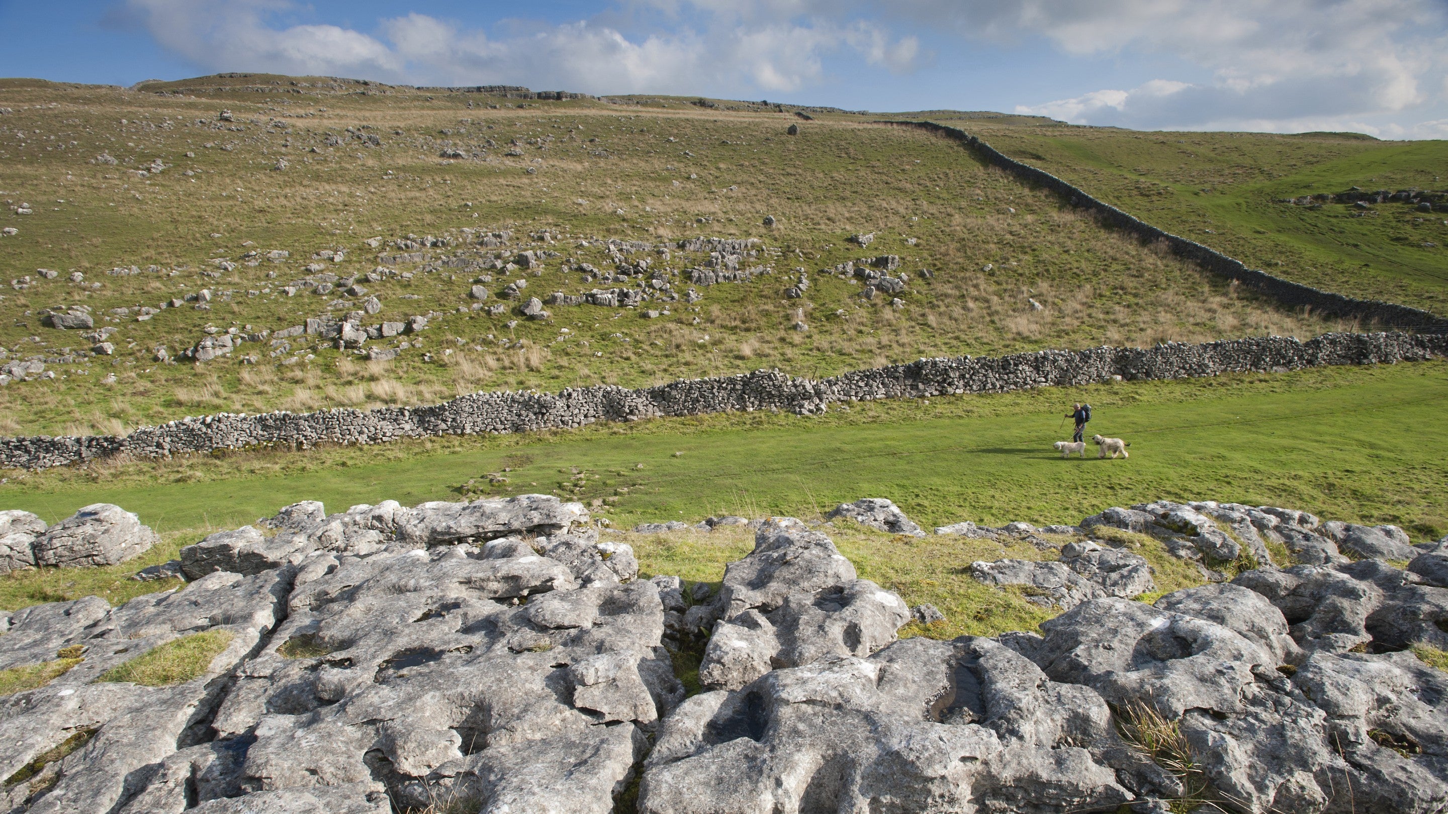 A shot on the Pennine Way with a man walking two dogs in the distance on a sunny day
